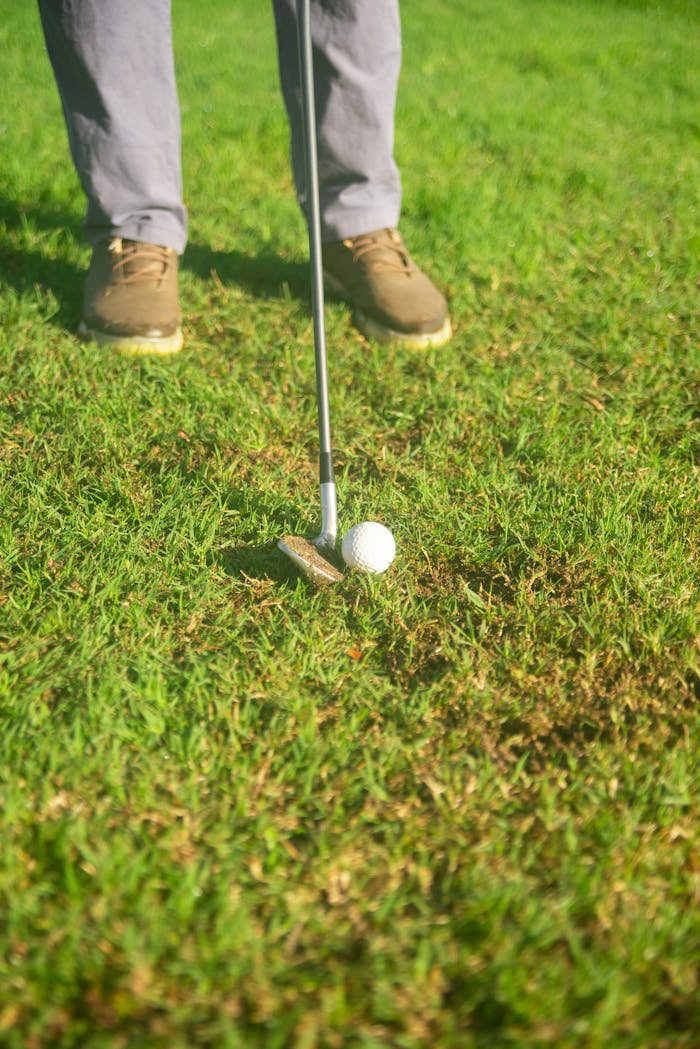 A golfer prepares to hit a golf ball on a green field in Portugal. Ideal for sports themes.